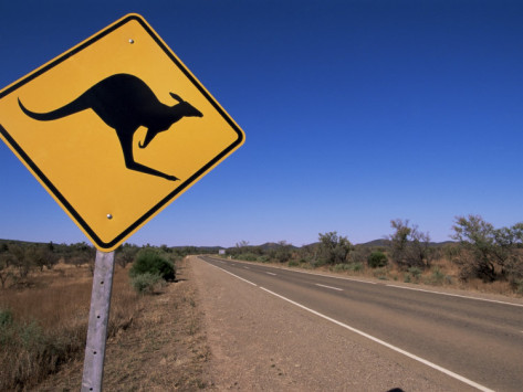 kangaroo road sign